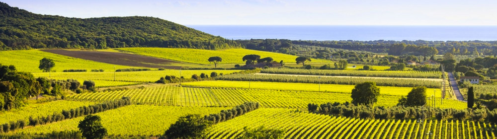 Chianti wine tour in Tuscany